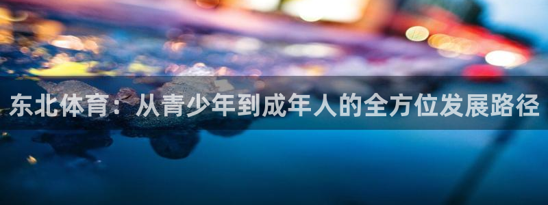 东北体育：从青少年到成年人的全方位发展路径
