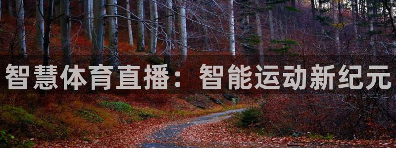 智慧体育直播：智能运动新纪元