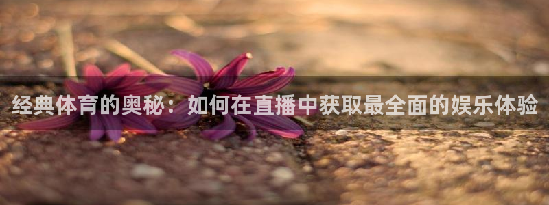 经典体育的奥秘：如何在直播中获取最全面的娱乐体验
