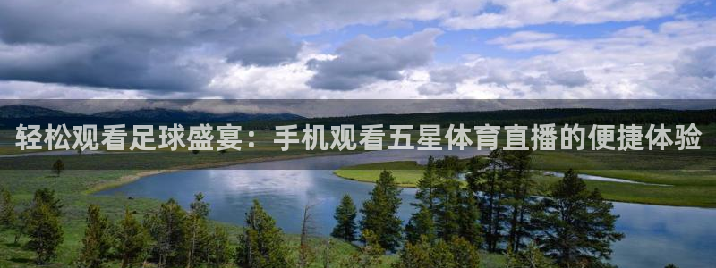 轻松观看足球盛宴：手机观看五星体育直播的便捷体验