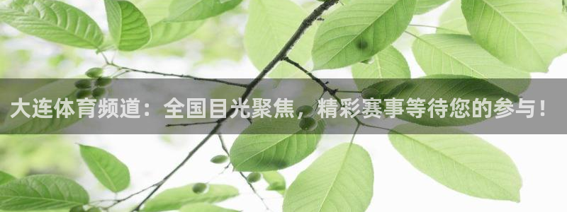 大连体育频道：全国目光聚焦，精彩赛事等待您的参与！