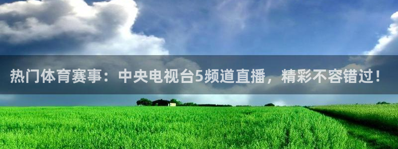 热门体育赛事：中央电视台5频道直播，精彩不容错过！