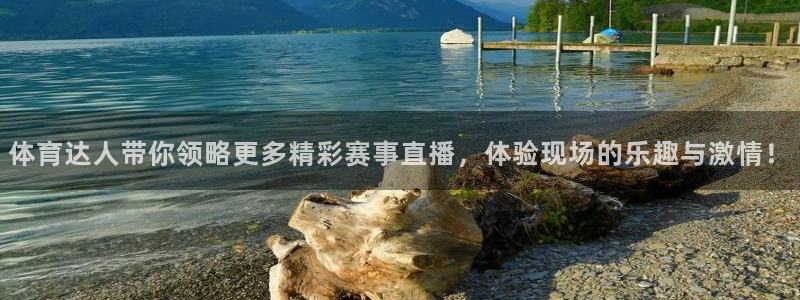 体育达人带你领略更多精彩赛事直播，体验现场的乐趣与激情！
