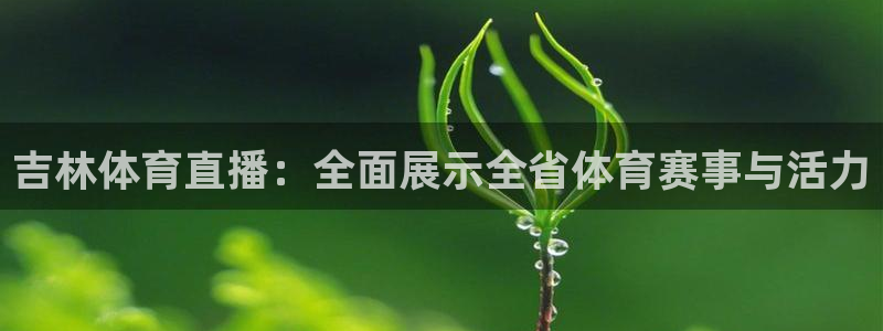 吉林体育直播：全面展示全省体育赛事与活力
