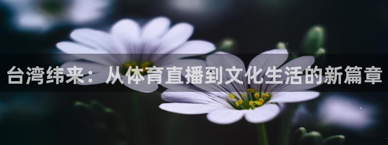 台湾纬来：从体育直播到文化生活的新篇章