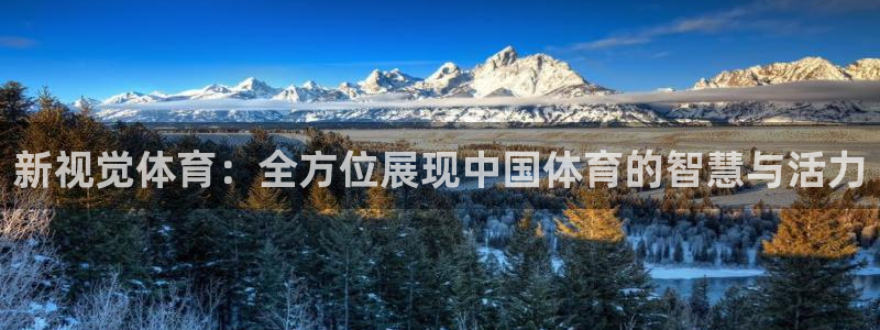 新视觉体育：全方位展现中国体育的智慧与活力