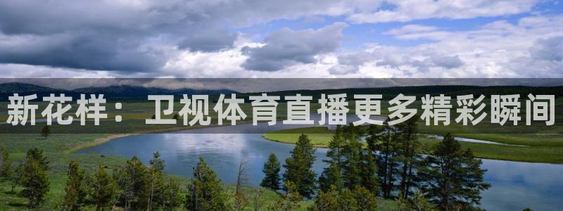 新花样：卫视体育直播更多精彩瞬间