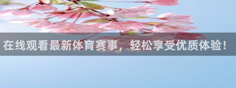 在线观看最新体育赛事，轻松享受优质体验！
